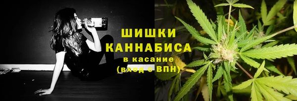 ALPHA PVP Белокуриха